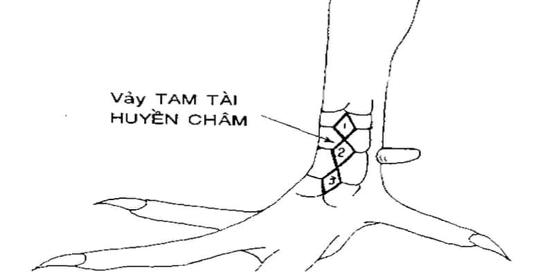 Vảy tam tài huyền trâm thường gặp trong chọi gà cựa sắt 